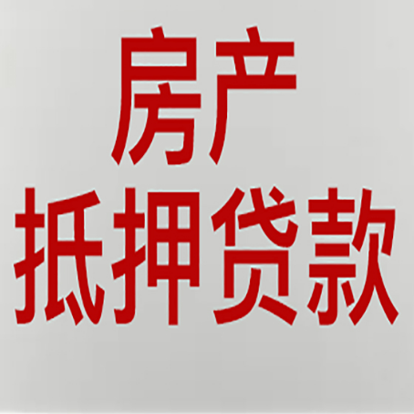 珠山贷款公司新渝启服推荐选择